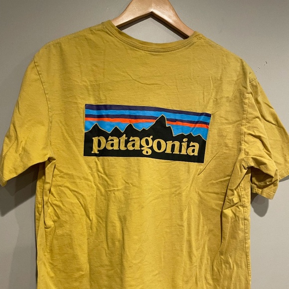Patagonia Other - Patagonia Men's T-shirt